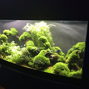 Deep Blue One - Mekong River exhibit 260519