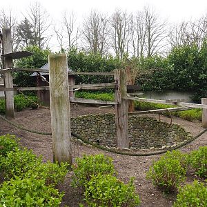 Scarlet and Catalina macaw exhibit, 2019-04-06