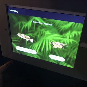 One of many interactive signs 260519