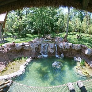 May. 2019 - New! - Tiger Crossroads - Sumatran Tiger Exhibit