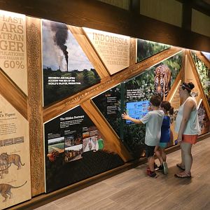 May. 2019 - New! - Tiger Crossroads