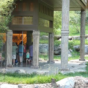 May. 2019 - New! - Tiger Crossroads