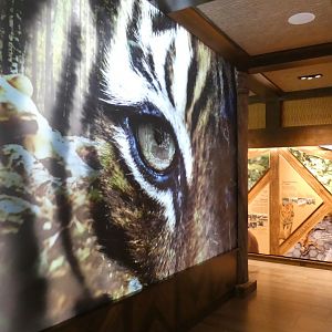 May. 2019 - New! - Tiger Crossroads