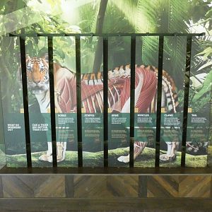 May. 2019 - New! - Tiger Crossroads