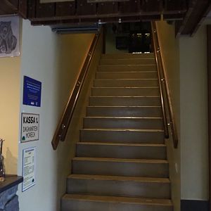 Access to the reptile and small mammal attic, 2019-04-06