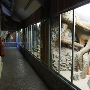 View of the reptile and small mammal attic, 2019-04-06