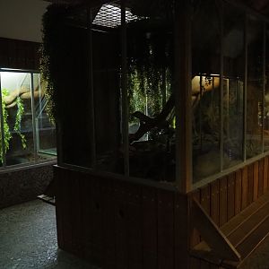 Kowari exhibit, 2019-04-06