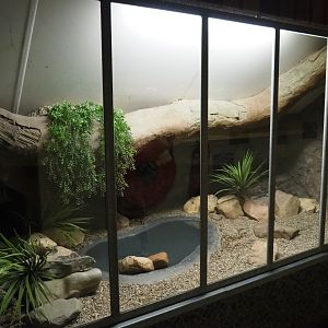 Mexican beaded lizard terrarium, 2019-04-06