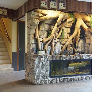 View in the main building with aquarium and stairs, 2019-04-06