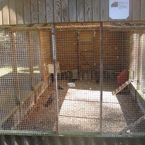 Farm Fun - Pigeon aviary