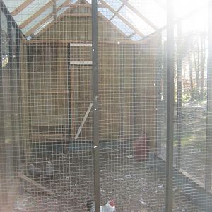 Farm Fun - Chicken aviary