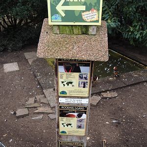 Black swan - Mandarin duck - Red-breasted goose signage, 2019-04-06