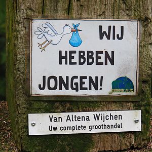 Sign We have joeys, 2019-04-06