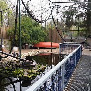African penguin and Inca tern aviary, 2019-04-06