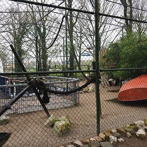African penguin and Inca tern aviary, 2019-04-06