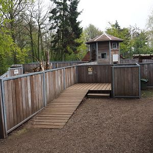 Red river hog, Indian crested porcupine and yellow mongoose viewing area, 2019-04-06