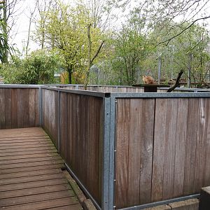 Meerkat viewing area, 2019-04-06