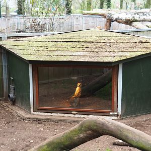 Meerkat hut, 2019-04-06