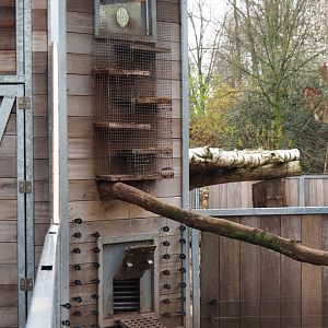 Yellow mongoose and Indian crested porcupine indoor access structures, 2019-04-06