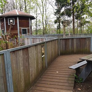 Banded mongoose and bat-eared fox viewing area, 2019-04-06