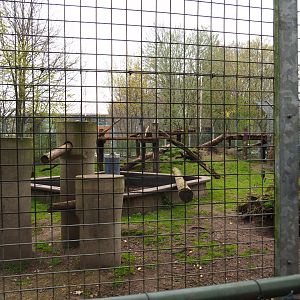 American black bear exhibit, 2019-04-06