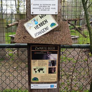 American black bear signage, 2019-04-06