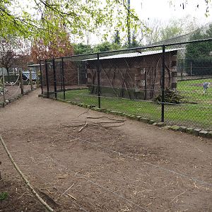 Alpaca paddock around large bird aviary, 2019-04-06