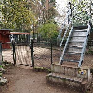 Bridge over alpaca paddock, 2019-04-06
