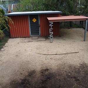 American black bear holding building and alpaca shelter/paddock, 2019-04-06