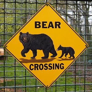 Bear crossing sign, 2019-04-06