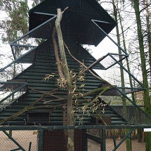 American red squirrel "Christmas tree" exhibit, 2019-04-06