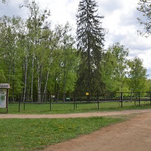Bison Enclosure at Rezerwat Pokazowy Żubrów, Białowieża 07/05/19