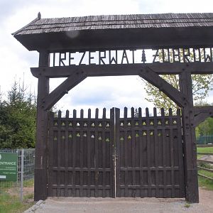 Entrance Gates at Rezerwat Pokazowy Żubrów, Białowieża 07/05/19