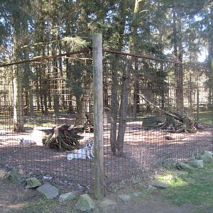 Farm Fun - Fox exhibit