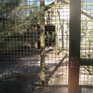 Farm Fun - Turkey aviary