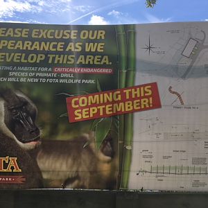 Banner on drills @Fota wildlife park-22/5/2019