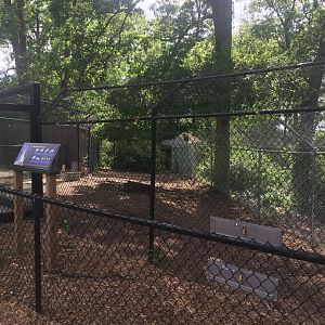 Wolf Exhibit