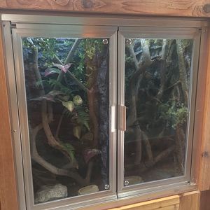 Gooty Sapphire Tarantula Enclosures