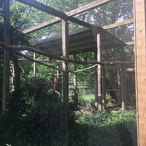 Toco Toucan + Laughing Kookaburra Aviary