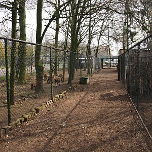 Pathway between exhibits, 2019-04-06