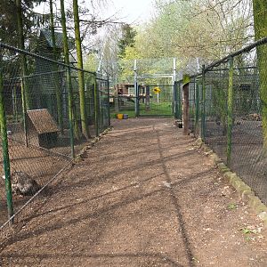 Park view towards American black bear exhibit, 2019-04-06