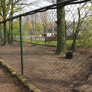 Emu paddock, 2019-04-06