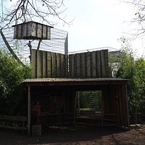 Indochinese clouded leopard exhibit and viewing area, 2019-04-06