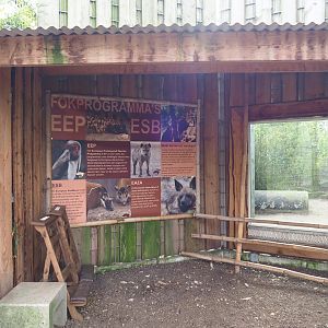Indochinese clouded leopard viewing area, 2019-04-06