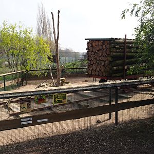 North American porcupine and black-tailed prairie dog exhibit, 2019-04-06