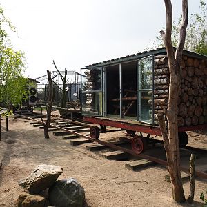 North American porcupine and black-tailed prairie dog exhibit, 2019-04-06