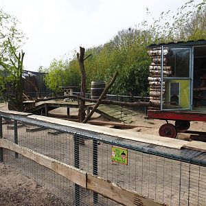 North American porcupine and black-tailed prairie dog exhibit, 2019-04-06