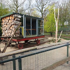 North American porcupine and black-tailed prairie dog exhibit, 2019-04-06