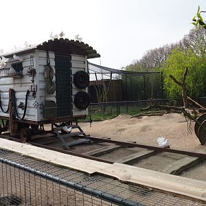 North American porcupine and black-tailed prairie dog exhibit, 2019-04-06