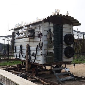 Pigeon wagon in the North American porcupine and black-tailed prairie dog exhibit, 2019-04-06